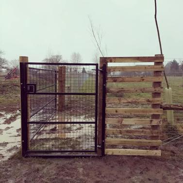 Dog security outlet gate